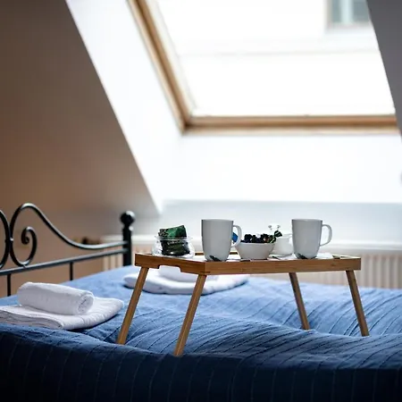 Old Two Floor Palasta Loft With River View Apartment Riga