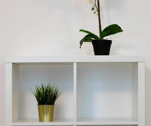 Old Two Floor Palasta Loft With River View Διαμέρισμα