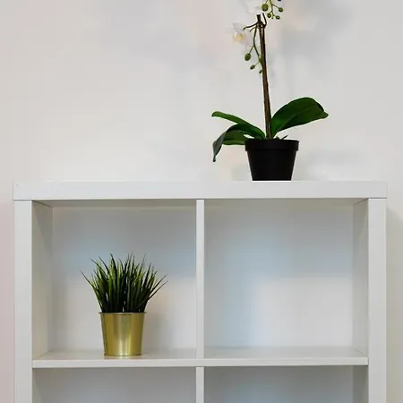 Old Two Floor Palasta Loft With River View Apartmán