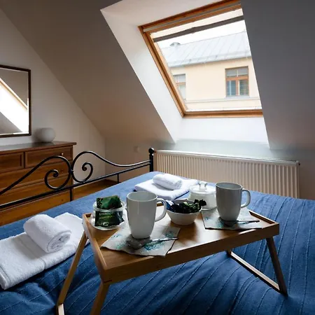 Apartmán Old Two Floor Palasta Loft With River View